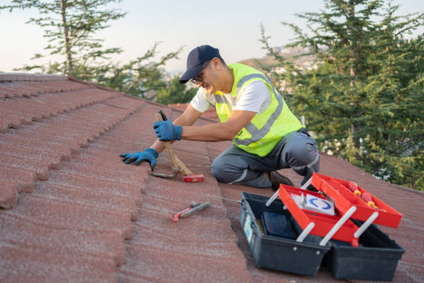 Best Storm Damage Roof Repair  in Shil, OH